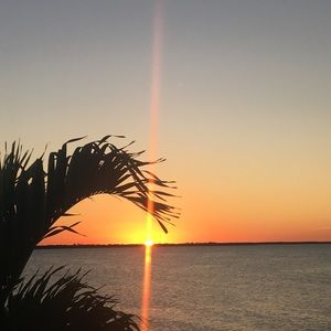 Meet your Posher, Tom